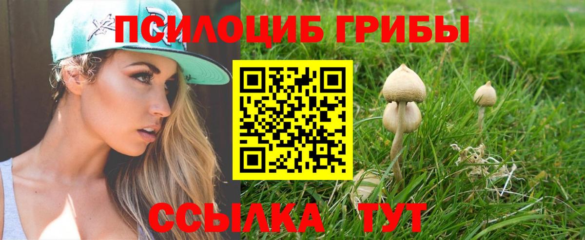 Галлюциногенные грибы мицелий Ревда