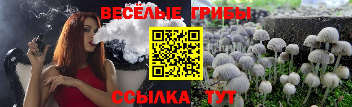 Псилоцибиновые грибы прущие грибы  Галлюциногенные грибы мицелий  Вход с VPN  купить наркотик  Ревда 